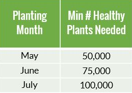 Planting month