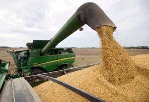 Cover photo for 2020 Northeast Ag Expo Soybean Variety Trial Results