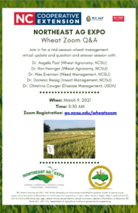Cover photo for Mid-Season Wheat Q&A Zoom - 3/9/21