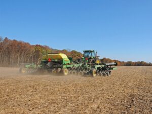 wheat planting