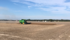 Perquimans Soybean Harvest
