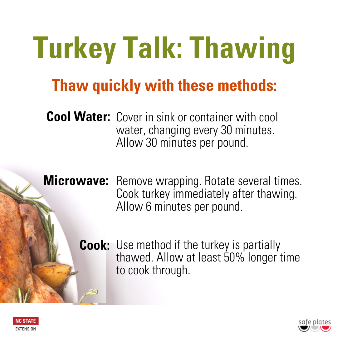 Turkey Talk: Thawing