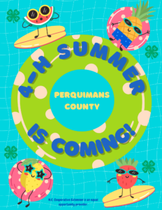 Cover photo for Perquimans County 4-H Summer Adventures