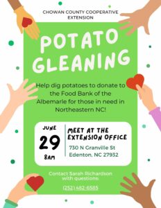 Cover photo for Potato Gleaning Community Service Opportunity