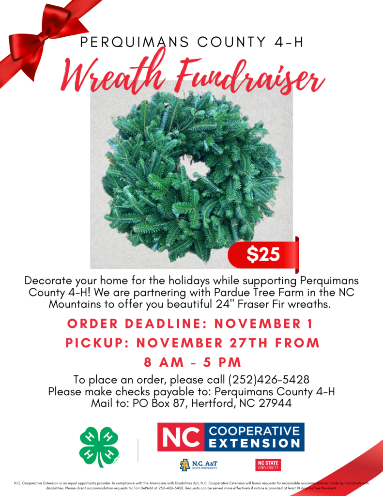 Perquimans County 4-H Wreath Fundraiser Flyer The flyer promotes a wreath fundraiser for Perquimans County 4-H. It features a photo of a green Fraser Fir wreath with a red price tag that says "$25". At the top, "Perquimans County 4-H Wreath Fundraiser" is written in bold red and black text, with a red bow graphic in the upper left corner. Details include: "Decorate your home for the holidays while supporting Perquimans County 4-H! We are partnering with Pardue Tree Farm in the NC Mountains to offer you beautiful 24'' Fraser Fir wreaths." Order Deadline: November 1 Pickup: November 27th from 8 a.m. - 5 p.m. at the Perquimans County Extension Office. Instructions to place an order by calling (252) 426-5428, with payment by check to "Perquimans County 4-H", and mail checks to PO Box 87, Hertford, NC 27944. The logos of N.C. Cooperative Extension, NC A&T, and NC State University are displayed at the bottom. The flyer includes an equal opportunity provider disclaimer at the very bottom.