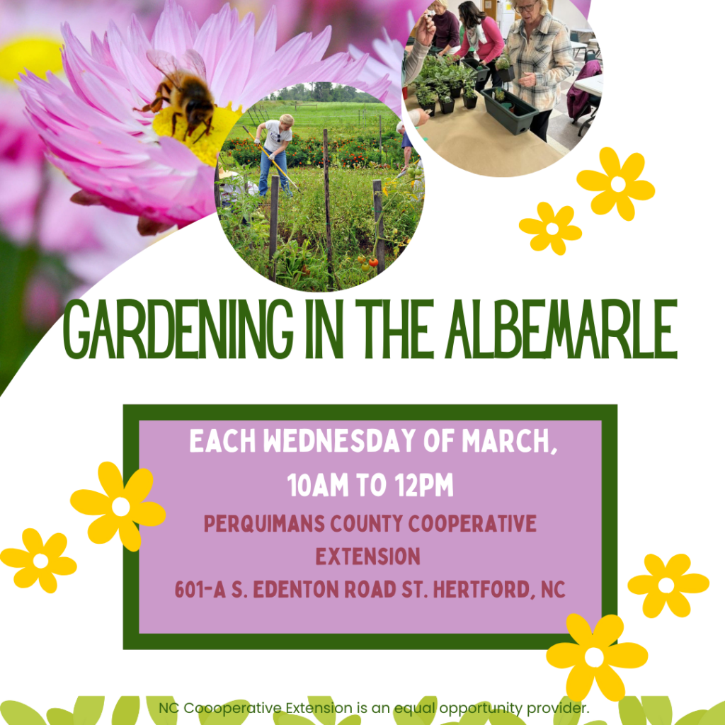 Gardening in the Albemarle Flyer