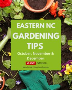 Cover photo for October, November & December Gardening Tips for Eastern NC